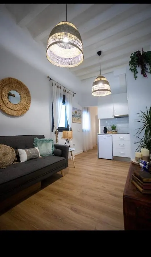 Apartment Pitusa Home Cadiz Spain