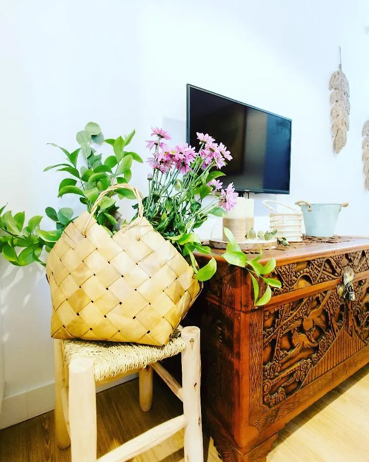 Apartment Pitusa Home Cadiz Spain